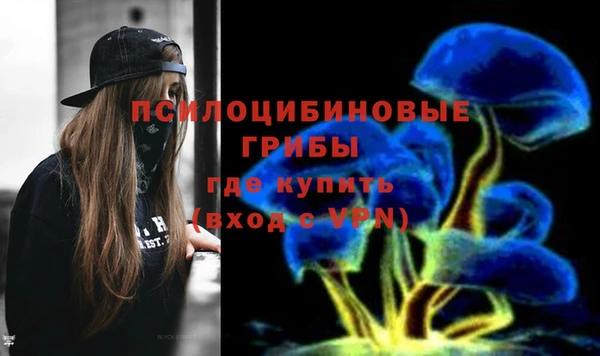 герыч Михайловск