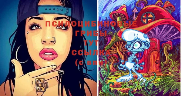 экстази Михайлов